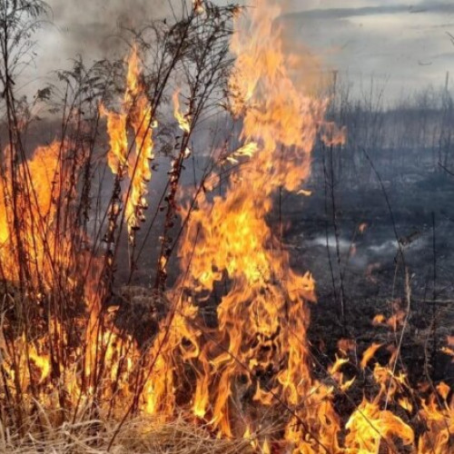 Pompierii argeseni au intervenit pentru stingerea a trei incendii