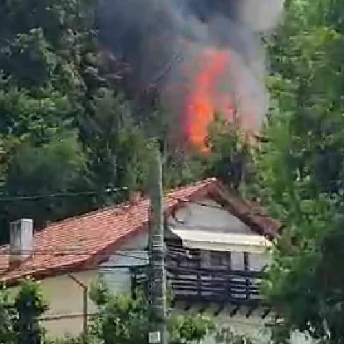 Incendiu puternic la o gospodărie din Curtea de Argeș