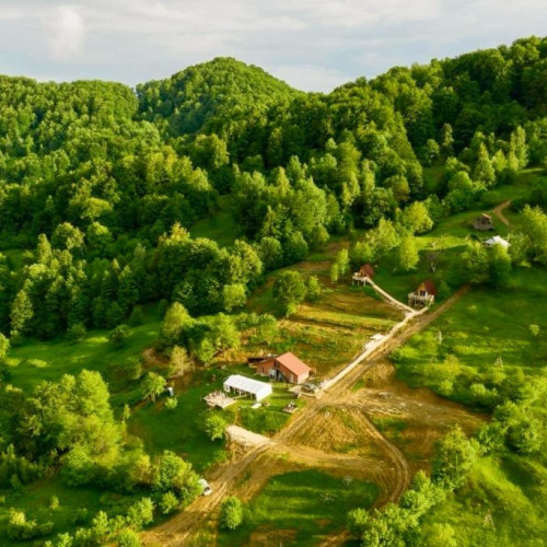 Păduri supravegheate cu drone în mai multe comune din Argeș