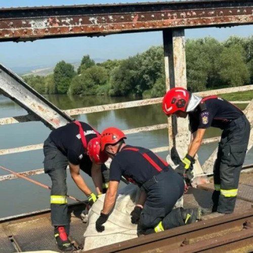 Cal salvat de pompierii militari de pe un pod metalic vechi