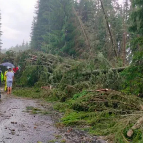 Furtună puternică blochează Drumul Național 67C