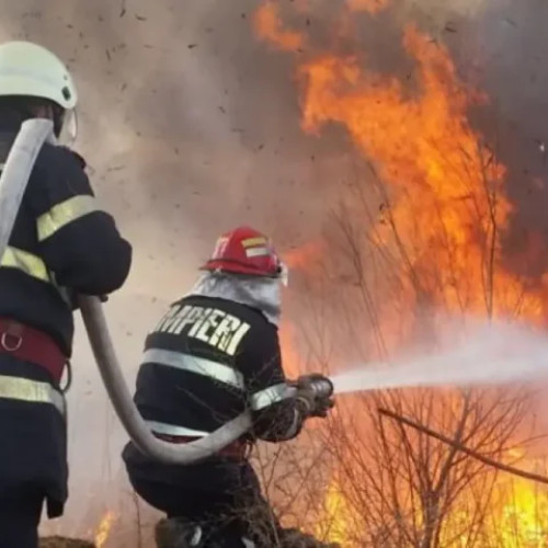 Incendiu de vegetație în comuna Suseni, mobilizare importantă a pompierilor