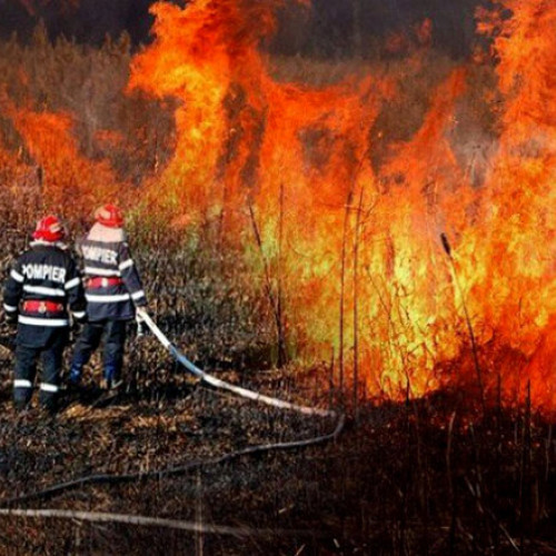 Intervenția pompierilor din Argeș în stingerea incendiilor de vegetație uscată