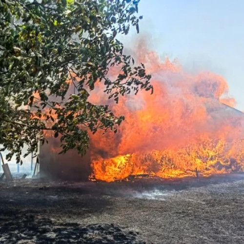 Incendiu devastator în comuna Suseni, cu pagube mari la anexe gospodărești și terenuri agricole