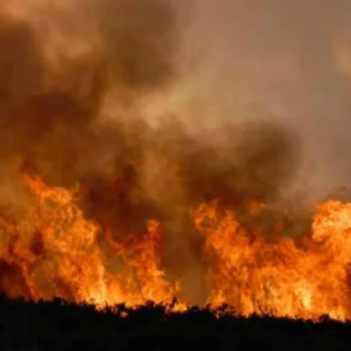 Un incendiu devastator în comuna Suseni