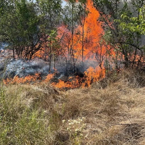 Incendiu puternic afectează o suprafață de teren