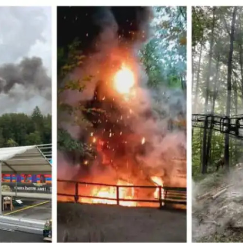 Incendiu de proporții la Dino Park din Râșnov, fără victime