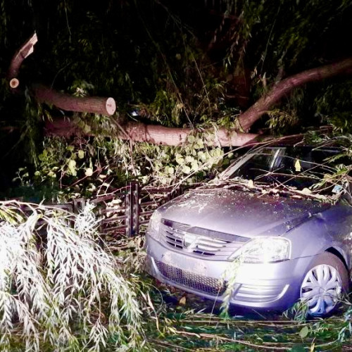 Accident grav în Argeș noaptea trecută