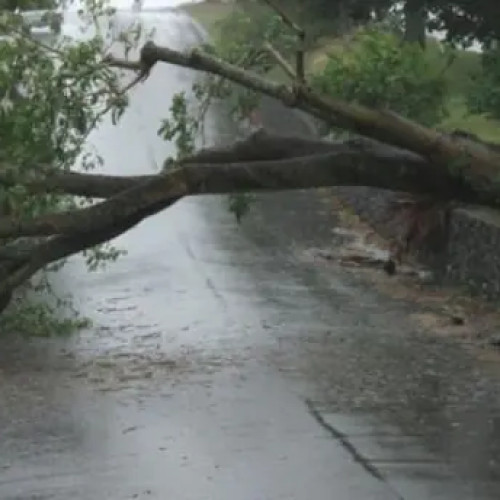 Drum forestier surpat în Nucsoara, Argeș, dar toate persoanele au fost salvate