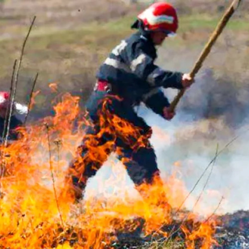 Zi de foc pentru pompierii din Argeș din cauza incendiilor