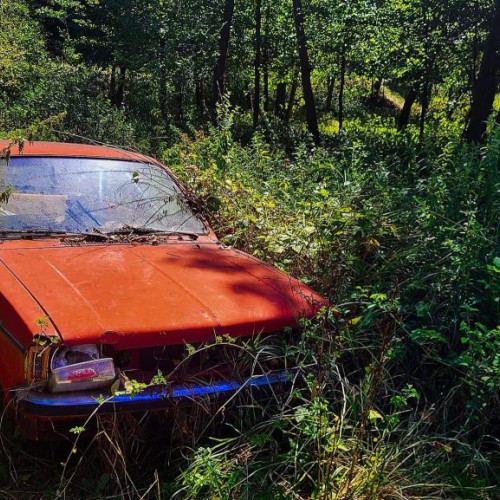 Imagini spectaculoase cu o „auto epavă” în pădurea din Argeș