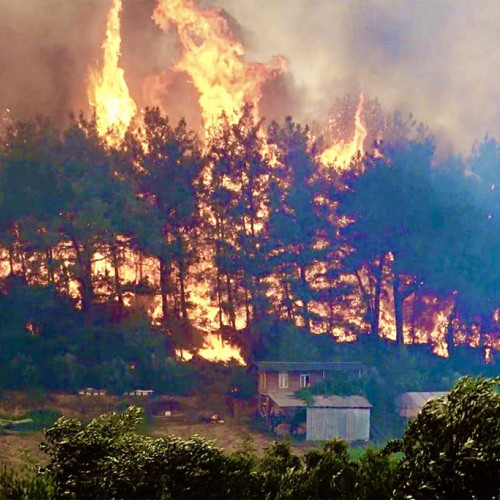 Incendiu devastator în Argeș, cu riscuri de extindere în pădure