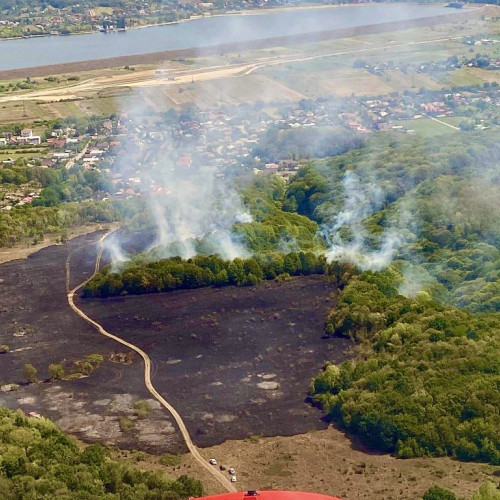 Mobilizare de forțe în Bascov pentru stingerea unui incendiu major