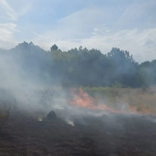 Incendiu de vegetație în comuna Leordeni, intervenție a pompierilor din Argeș