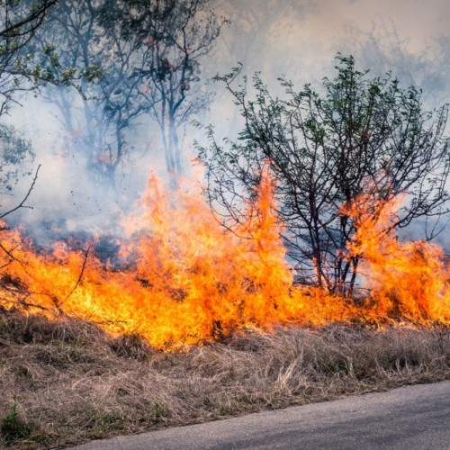 Incendii de vegetație în județul Argeș, cu intervenții ale pompierilor