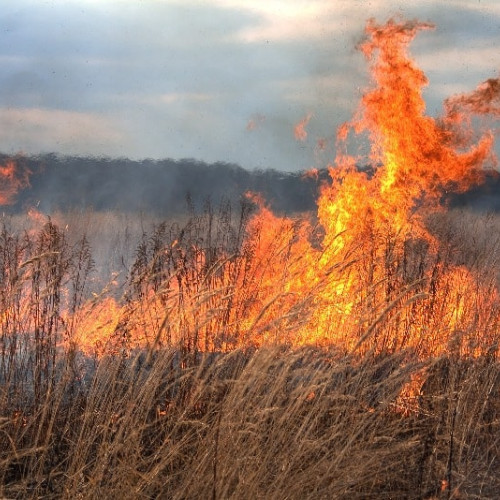 Bărbat grav rănit după încercarea de a stinge un incendiu de vegetație în Pitești