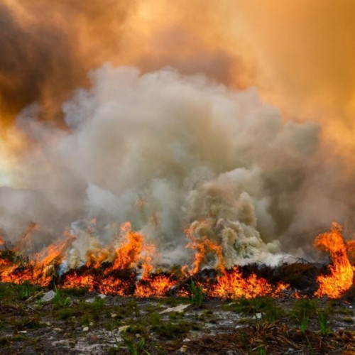 Îngrijorări în Argeș: Incendii de vegetație devastatoare în evoluție