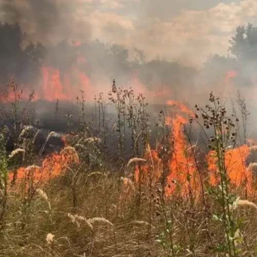 Incendii de vegetație în județul nostru: pompierii acționează pentru stingerea focului