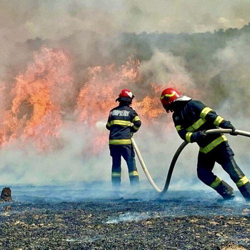 Incendii puternice în Argeș, cu terenuri distruse și pompieri aflați în luptă