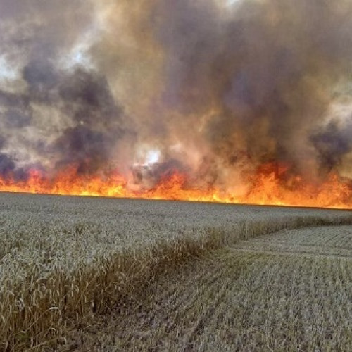 Incendii de vegetație în Argeș: pompierii au intervenit la 11 focare