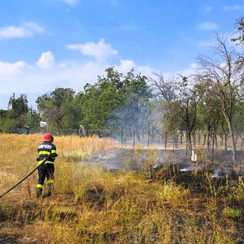 Incendii de vegetație stinse de pompierii din Argeș