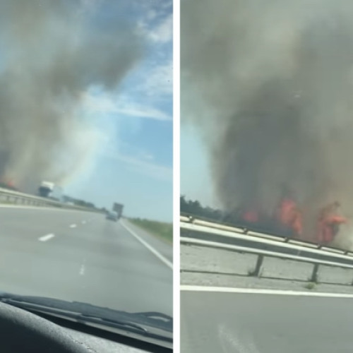 Traficul rutier blocat pe Autostrada Pitesti-Bucuresti din cauza unui incendiu de vegetație