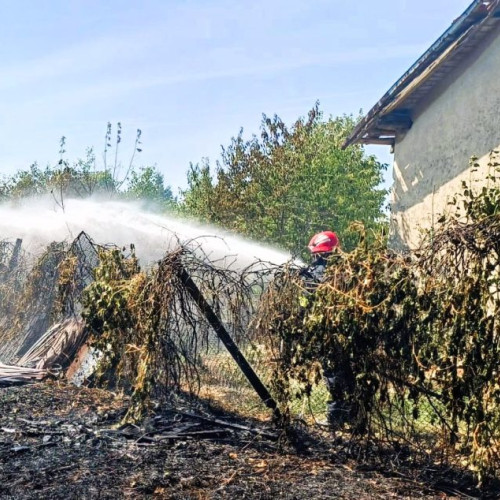 Incendii devastatoare în Argeș: Aproape un hectar de teren distrus