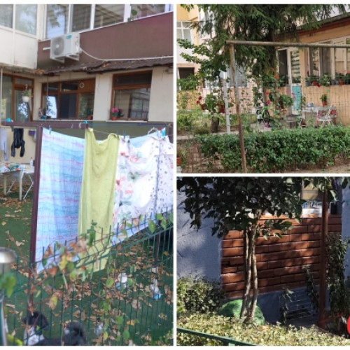 Pitestenii transformă domeniul public în grădini de legume; poliția locală intervine