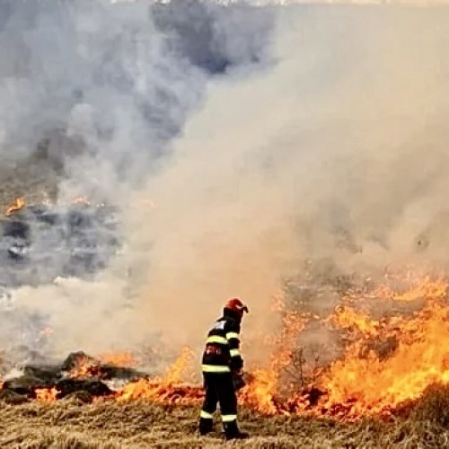 Incendii devastatoare în Argeș: șapte hectare afectate de flăcări