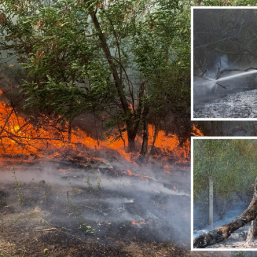 Incendii de vegetație uscată în județul Argeș