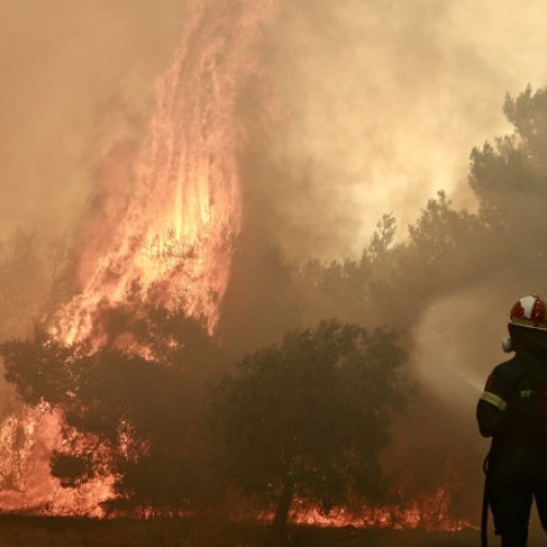 Incendii devastatoare în județul Argeș: Pompierii intervin pentru stingerea flăcărilor