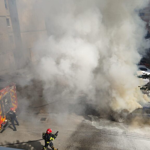 Incendiu de proporții pe strada Paltinului din Pitești