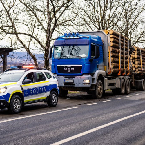 Lemne confiscate de peste 7.000 de lei în Argeș