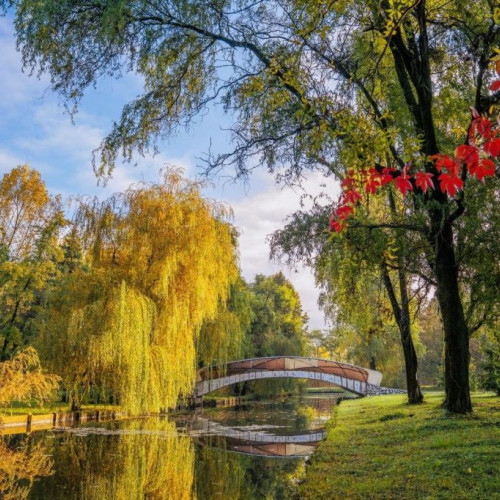 Motivul pentru care parcul Strand va deveni locul preferat al pitestenilor