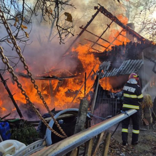 Incendiu într-o gospodărie din Argeș