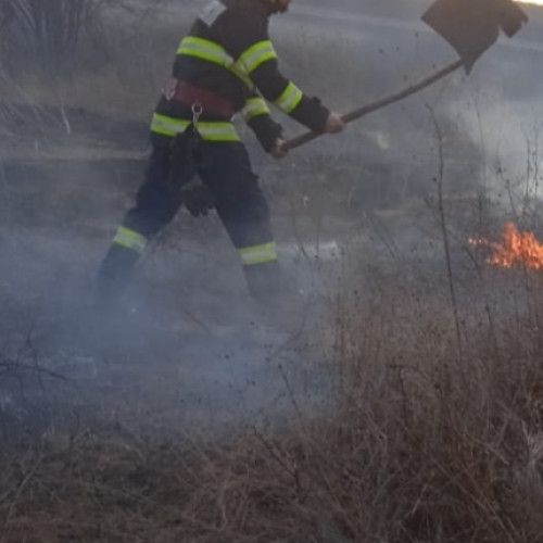 Incendii dezastruoase într-o zi: Pompierii în alertă!