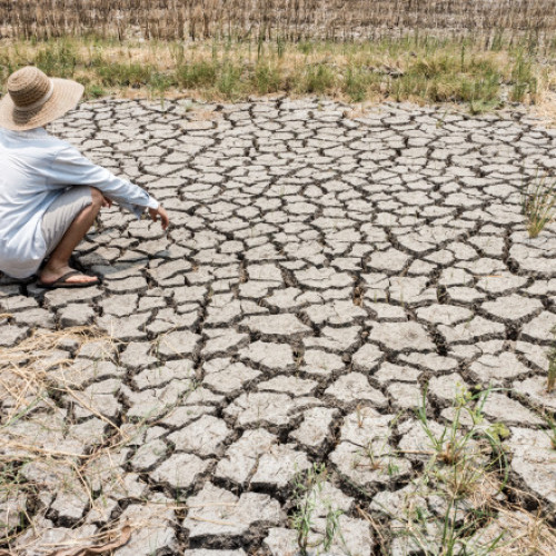 planeta s-ar putea apropia de limita critică de încălzire de 1,5 grade Celsius în doar trei ani