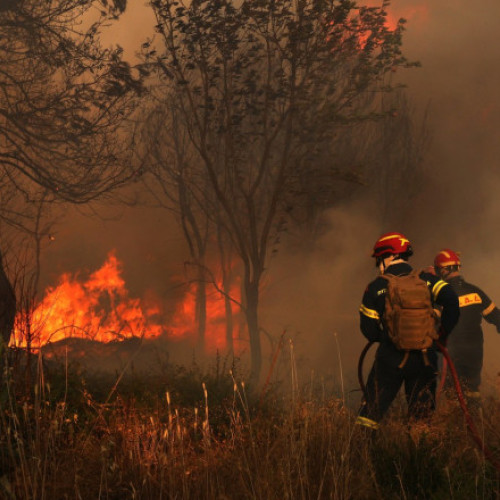 Video Incendii puternice de vegetație în apropierea Atenei. Case făcute scrum, peste 50 de localnici evacuați