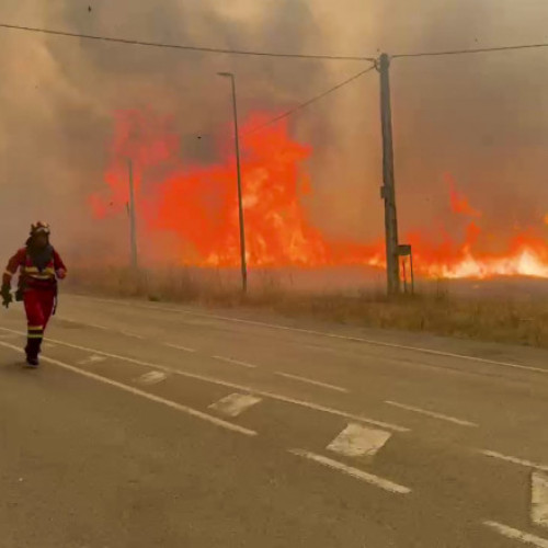 Caniculă record în sudul Europei: Un „cocktail Molotov” climatic alimentează incendii uriașe în zona mediteraneană