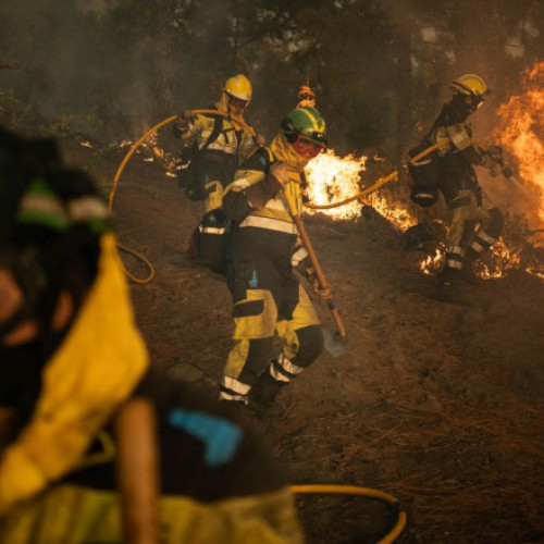 Video Incendii puternice de vegetație la câțiva kilometri de Madrid. Mii de oameni evacuați și în Andaluzia
