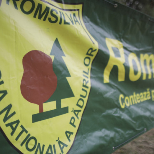 Blocaj în reforma Romsilva. Ministerul Justiției: Proiectul venit de la Mediu trebuie modificat. Buzoianu: „Sunt abia primii pași”
