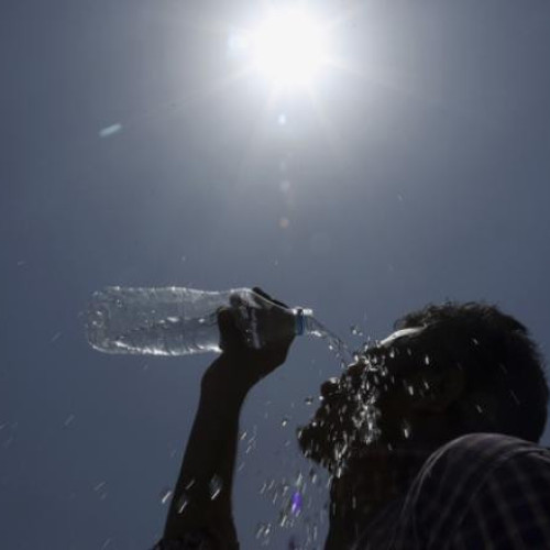 Val de căldură extremă în Franța, autoritățile sunt în alertă. Seceta severă crește riscul incendiilor de vegetație