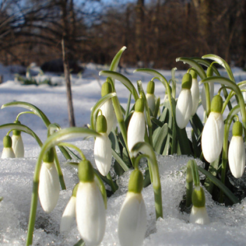 Prognoza meteo: Temperaturi neobișnuite și fără ploi în România pentru săptămâna viitoare!