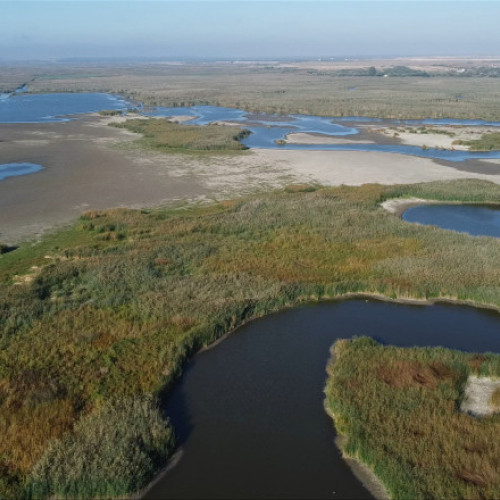 Delta Neajlovului din Comana riscă să dispară din cauza secetei și lipsei de investiții