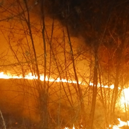 Pompele argeșene se luptă cu iadul pe pământ, incendiile devastatoare distrug flora și fauna!