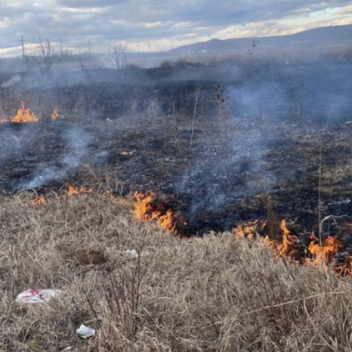 Alertă de incendii la Argeș - Pompierii se luptă cu focul în mai multe zone!