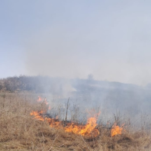 Șapte localități din Argeș cuprinse de un puternic incendiu! Acțiuni de intervenție imediată necesare!