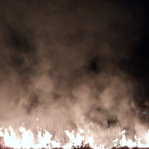 Pompierii au luptat împotriva incendiilor de vegetație în Argeș! Toată ziua de ieri au acționat prompt pentru a ajuta populația!