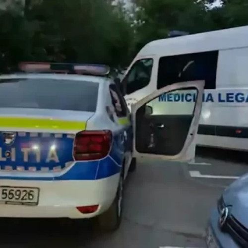 Șoc în uniformă! Agentă de poliție înjunghiată în timp ce reținea un bărbat în autospecială