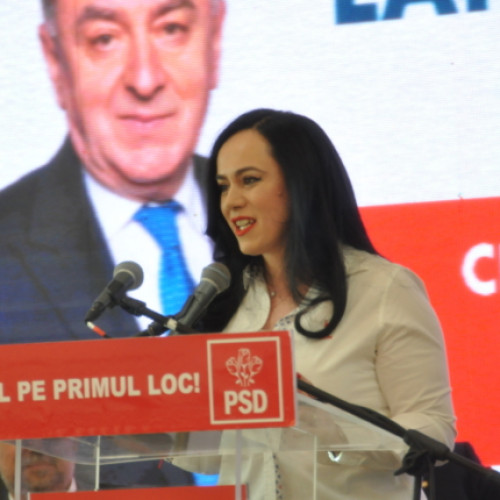 Argeșul, prioritate în alocarea fondurilor de către Guvernul Ciolacu: Simona Bucura Oprescu